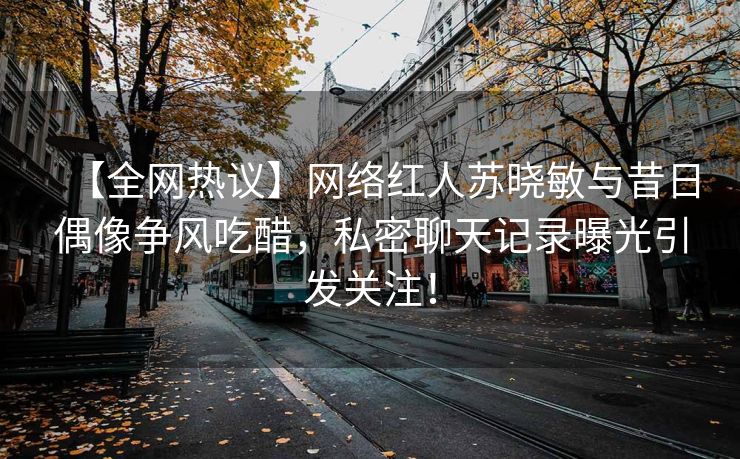 【全网热议】网络红人苏晓敏与昔日偶像争风吃醋，私密聊天记录曝光引发关注！