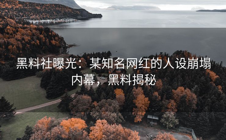 黑料社曝光：某知名网红的人设崩塌内幕，黑料揭秘