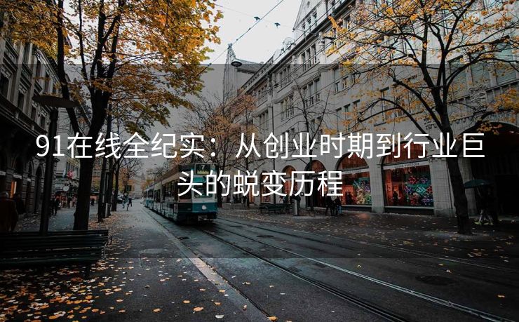 91在线全纪实：从创业时期到行业巨头的蜕变历程