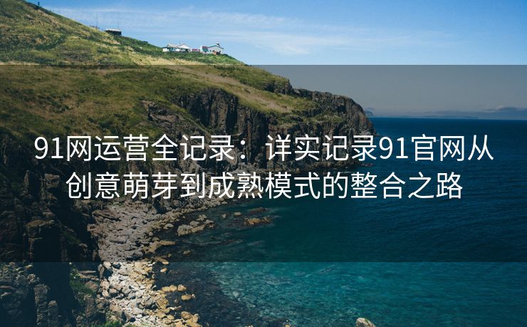 91网运营全记录：详实记录91官网从创意萌芽到成熟模式的整合之路