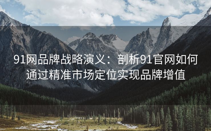 91网品牌战略演义：剖析91官网如何通过精准市场定位实现品牌增值