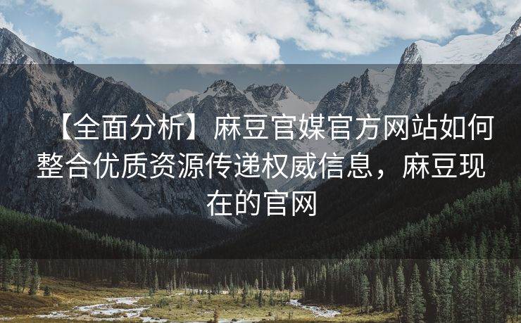 【全面分析】麻豆官媒官方网站如何整合优质资源传递权威信息，麻豆现在的官网