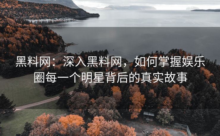 黑料网：深入黑料网，如何掌握娱乐圈每一个明星背后的真实故事