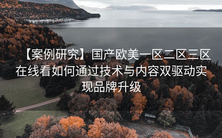 【案例研究】国产欧美一区二区三区在线看如何通过技术与内容双驱动实现品牌升级