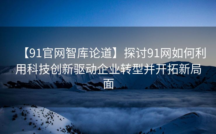 【91官网智库论道】探讨91网如何利用科技创新驱动企业转型并开拓新局面