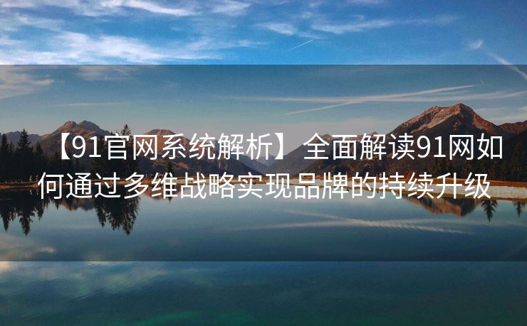 【91官网系统解析】全面解读91网如何通过多维战略实现品牌的持续升级