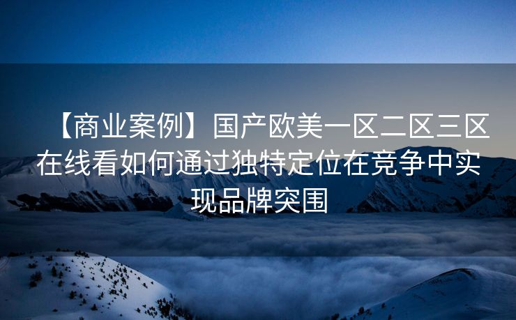 【商业案例】国产欧美一区二区三区在线看如何通过独特定位在竞争中实现品牌突围